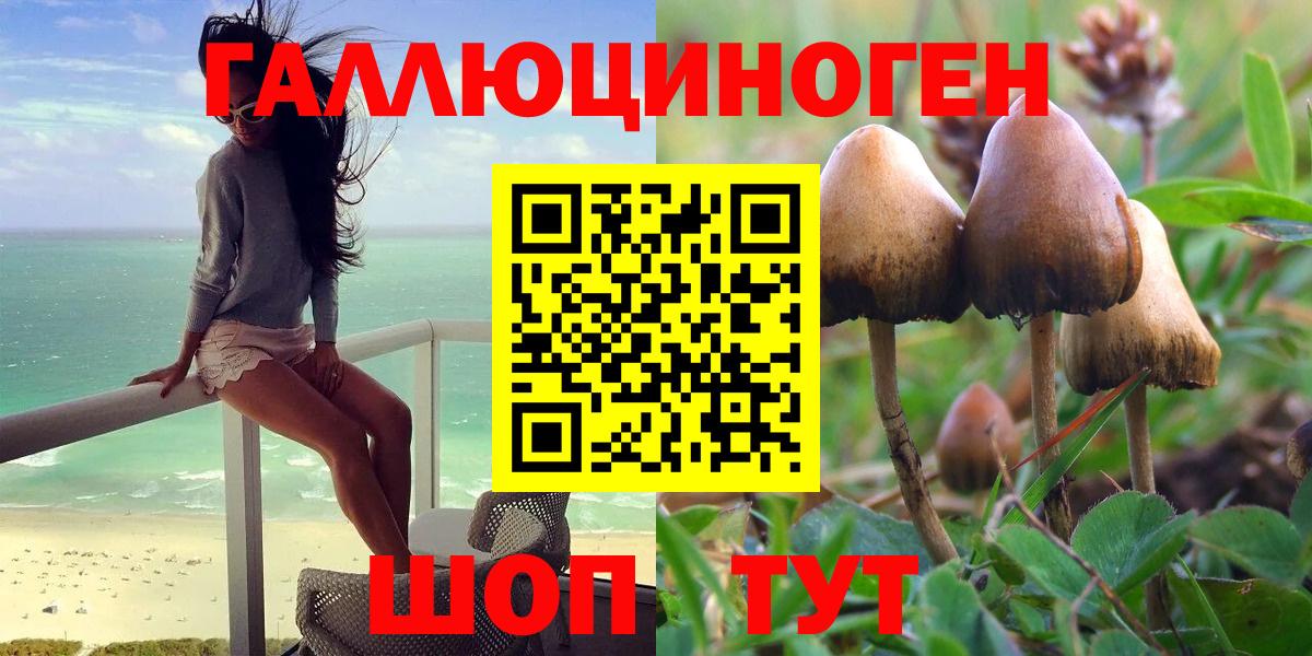 Гашиш  Вход с VPN  Бошки Шишки  КОКАИН  МЕФ кристаллы  Ачхой-Мартан  Бошки Шишки  ГАШИШ 